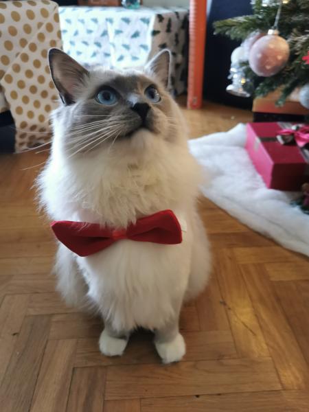 Photo de Quaker