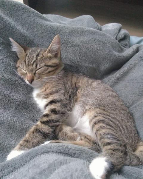 Photo de Penny