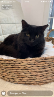 Photo de Lucifer