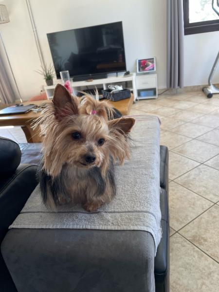Photo de Lola