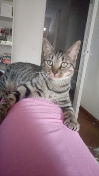 Templeton