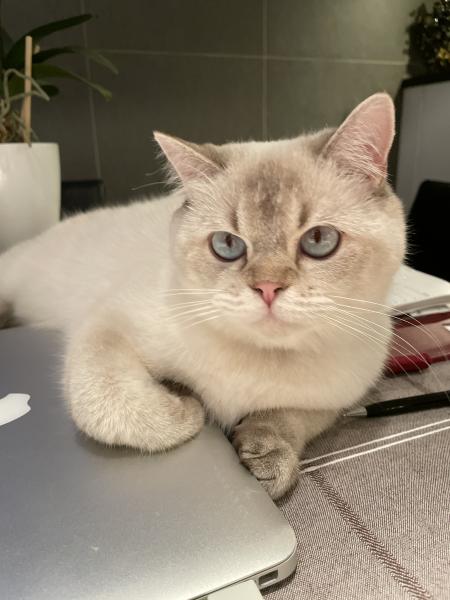 Photo de Ruxi