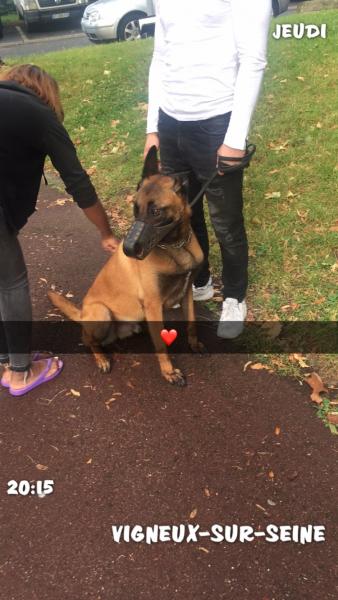 Photo de Leo