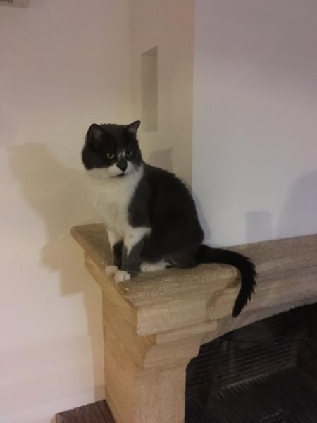 Photo de Minet