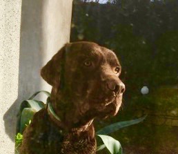 Photo de JUNIOR