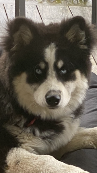 Ragnar