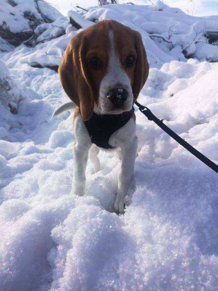 Photo de Lucky