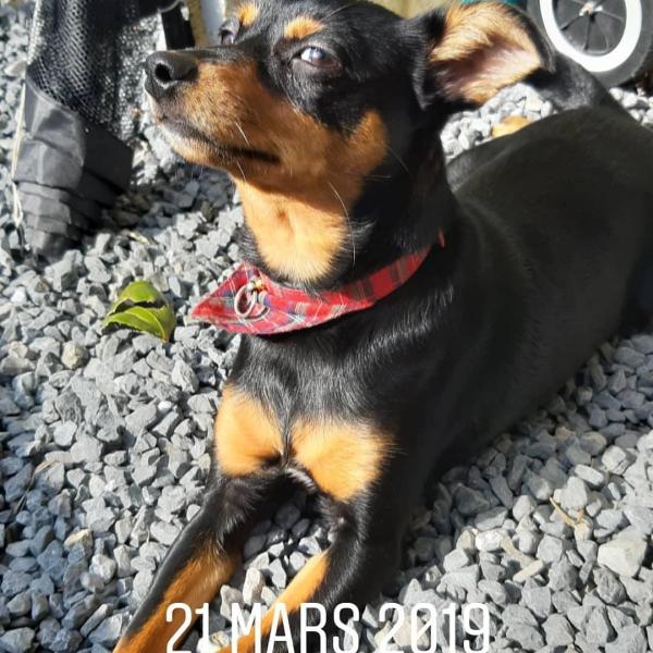 Photo de Lili