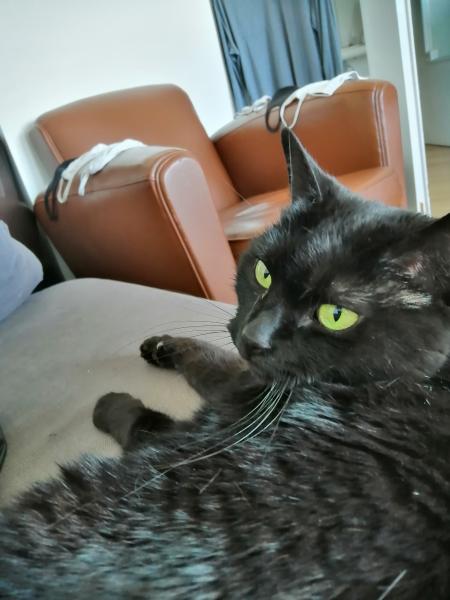 Photo de Titi