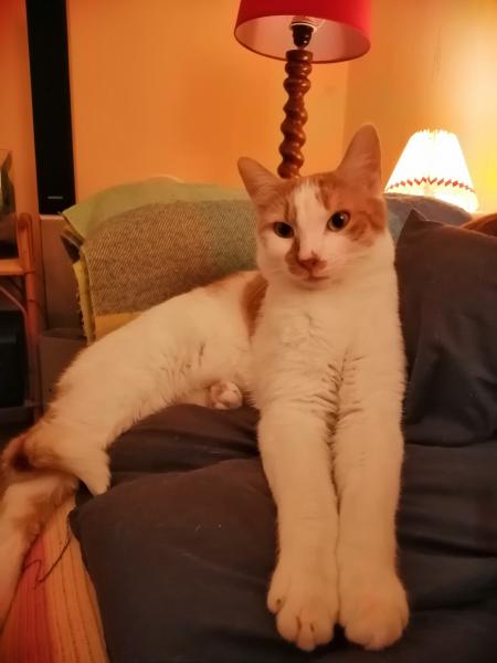Photo de Calinou