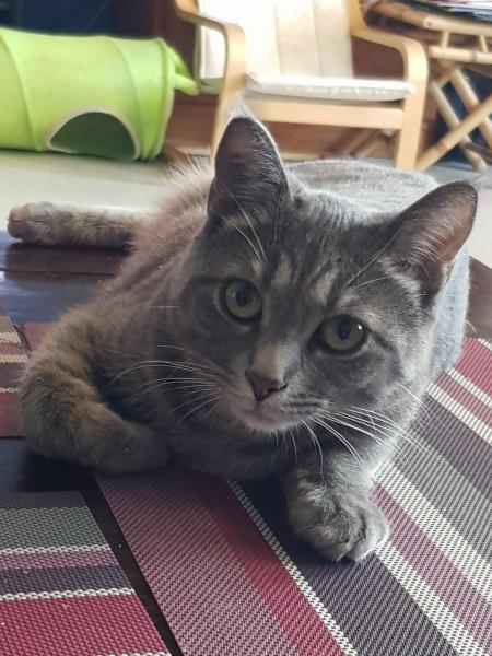Photo de Roxy
