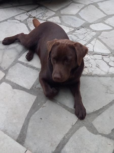 Photo de Reïko