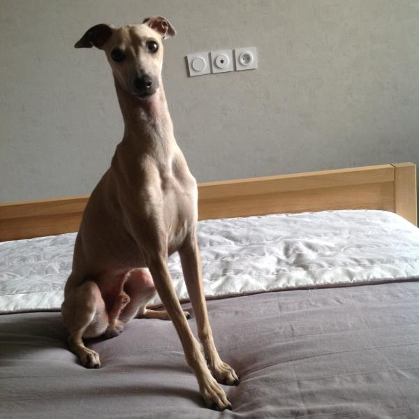 Photo de Tadj (Tadjou)