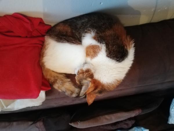 Photo de Imothepe