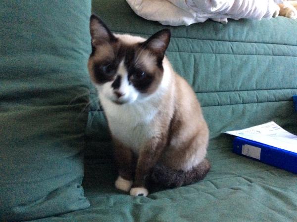 Photo de Mona