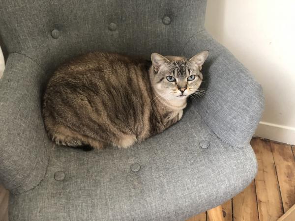 Photo de Guapa