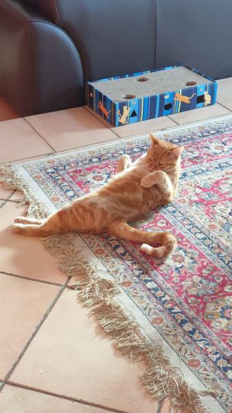 Photo de Noisette