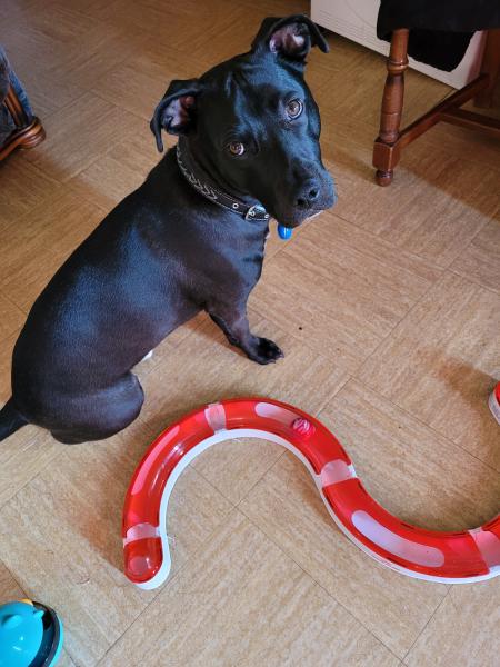 Photo de Nero