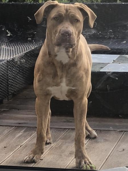 Photo de Elvira