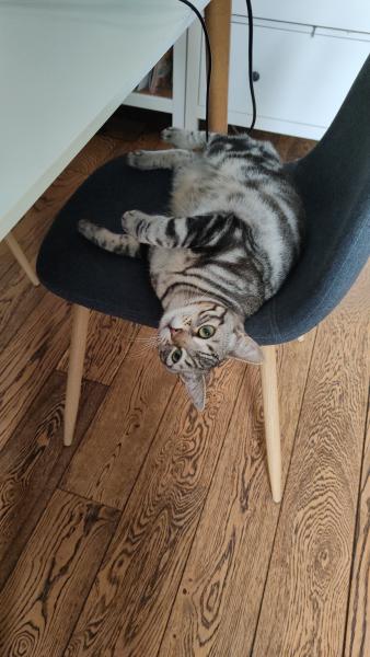 Photo de Nausicaa
