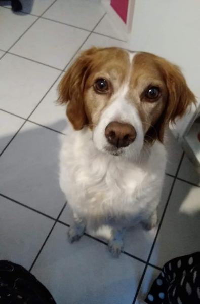 Photo de Daisy