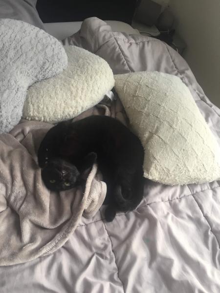 Onyx