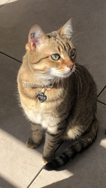 Photo de Pimkie