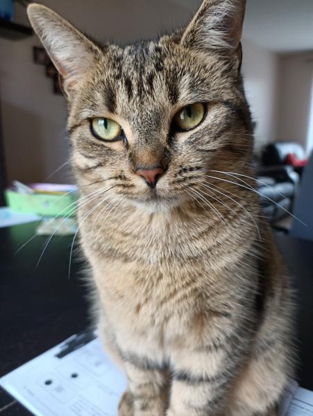 Photo de Princesse
