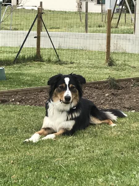 Photo de Rixie