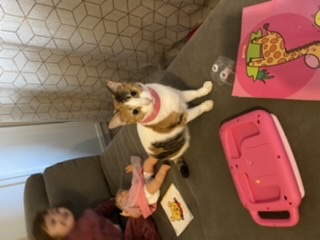Photo de Pépite