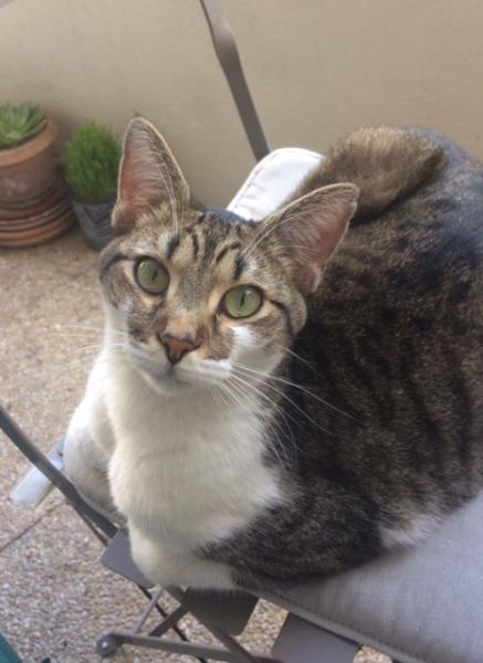 Photo de Uma
