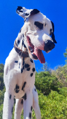 Rio