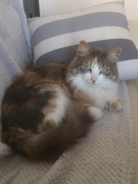 LADY