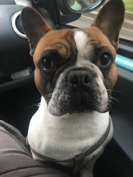 Popeye