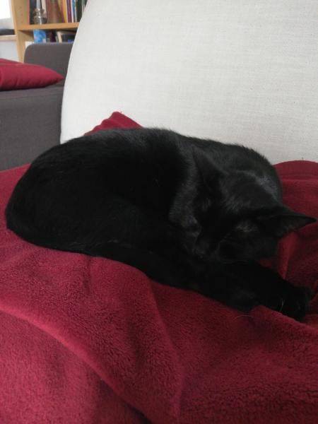 Photo de Zéfir