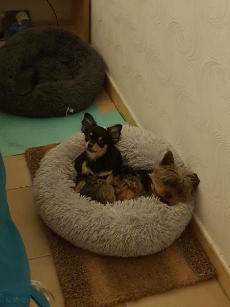 Photo de Narci
