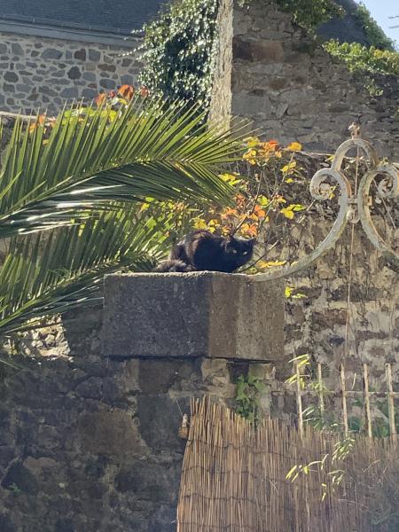 Photo de Freya