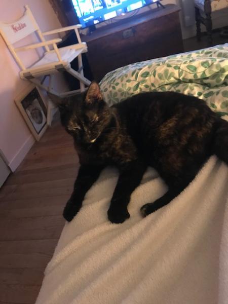 PRALINE
