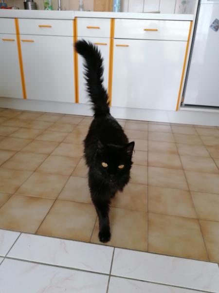 Photo de Socrate