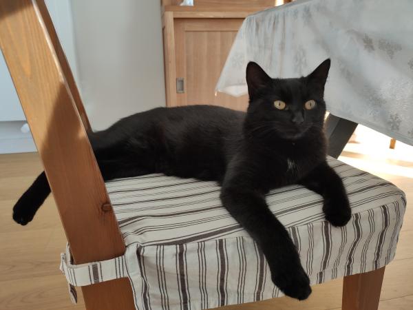 Photo de Nala