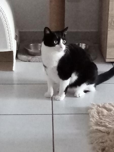Photo de Romie