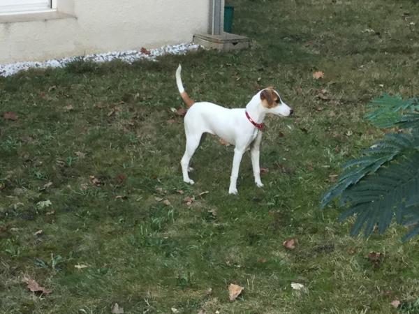 Photo de OUNA