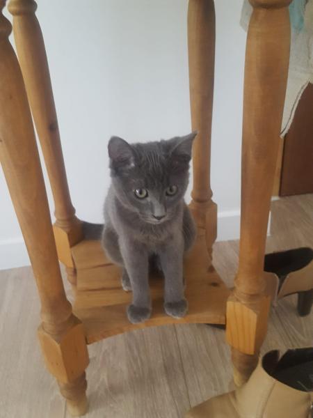 Photo de Midge