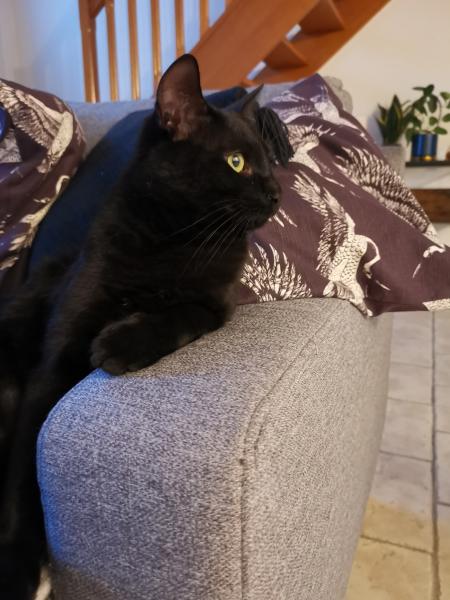 Photo de Salem