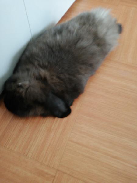 Photo de BUNNY