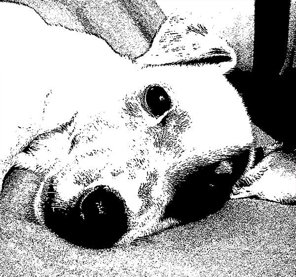 Photo de Miky