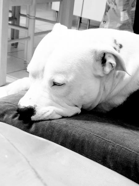 Photo de Tayson