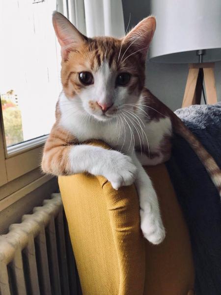 Photo de Néo