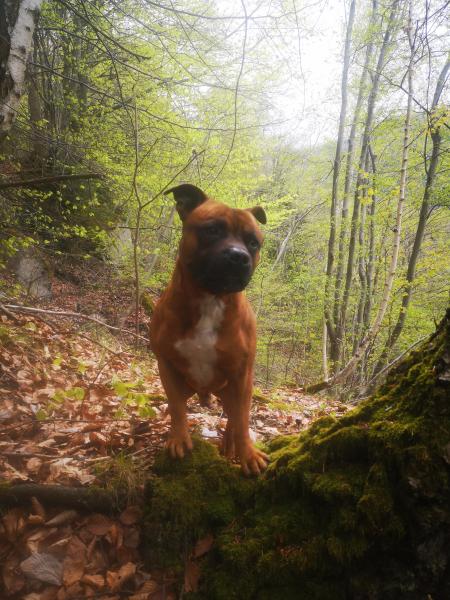 Photo de Nas