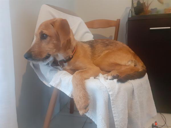 Photo de Roxie